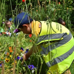 Student gardening