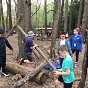 students in the woods gathering planks